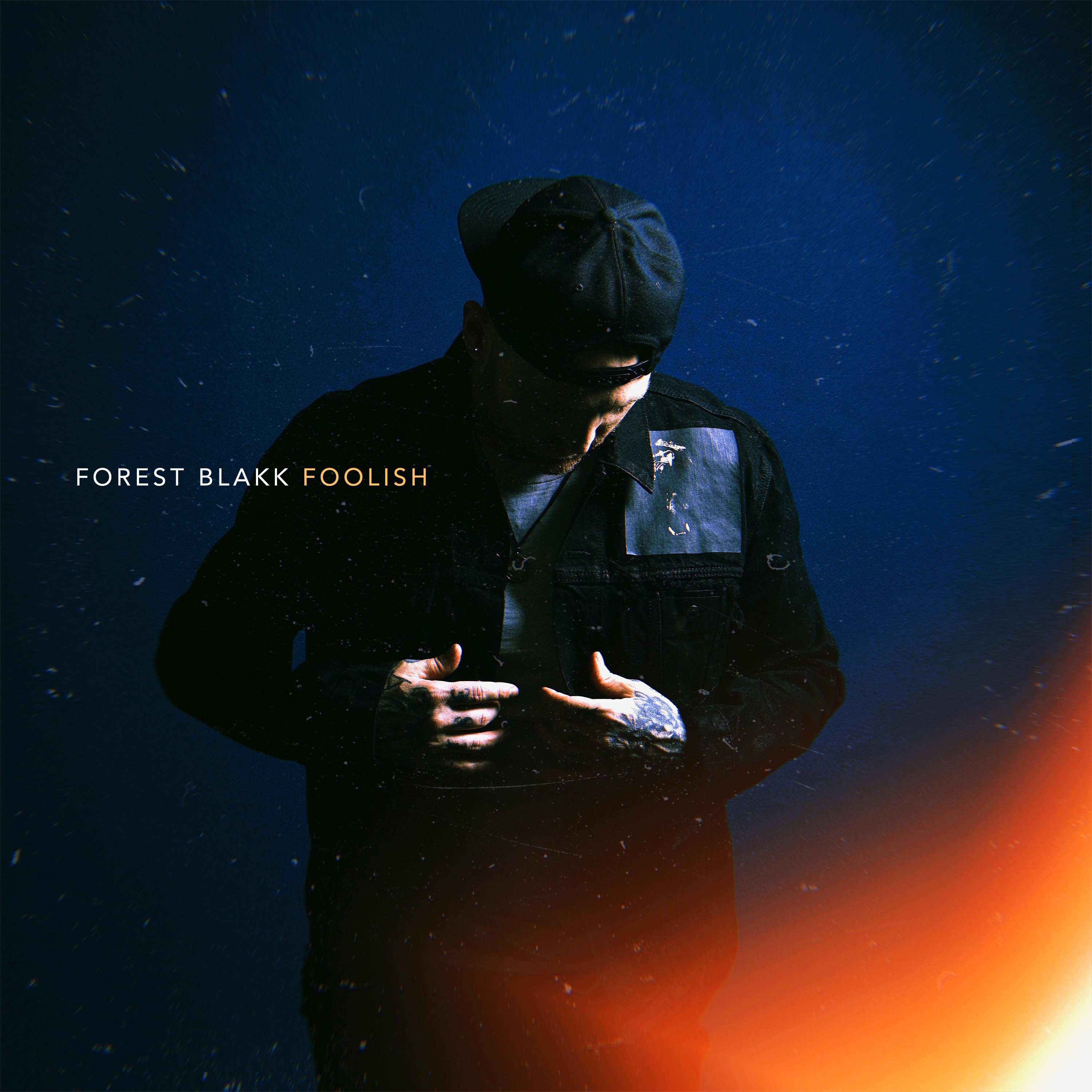 Foolish Cover Art