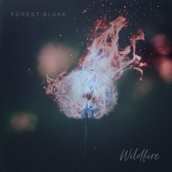 Wildfire Cover Art